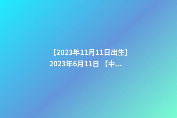 【2023年11月11日出生】2023年6月11日 【中华取名网】与西安XXX有限公司签约-第1张-公司起名-玄机派